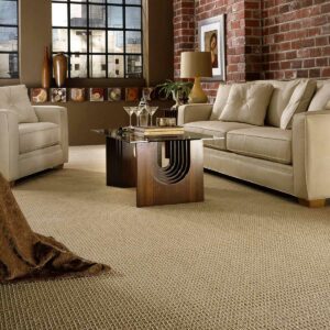 Living room Carpet flooring | CarpetsPlus COLORTILE